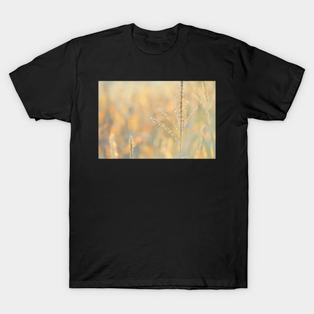 Autumn begins... T-Shirt by LaurieMinor